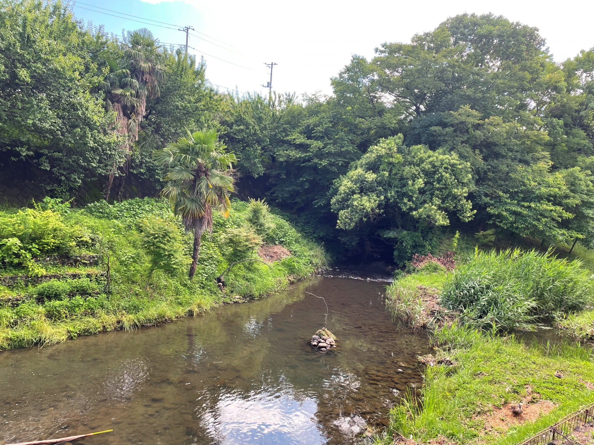 Vol.4　いたち川流域の野鳥観察について