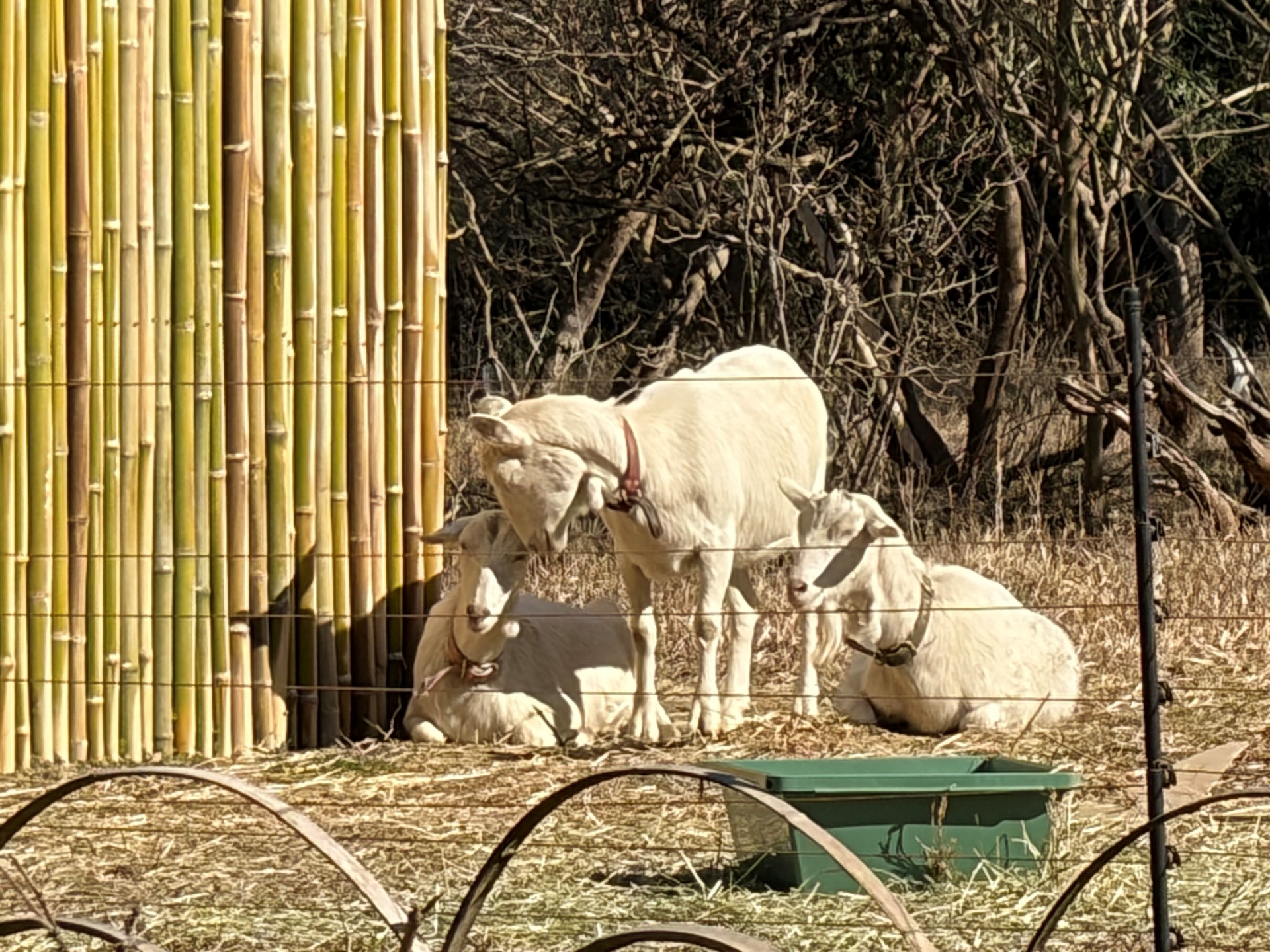 Vol.9　トコミドリふれあい広場のご紹介